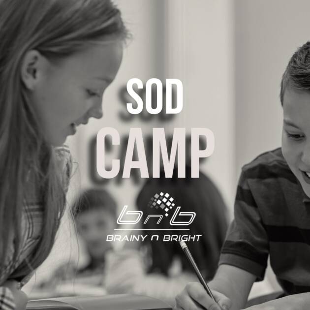 SOD Enrichment Camp – Multidisciplinary Inclusion Experience